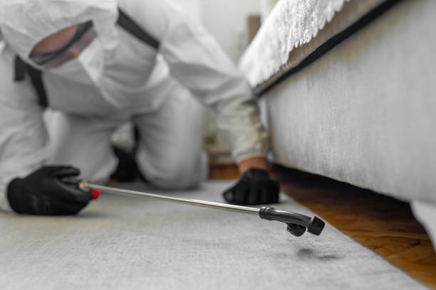 Professional Termite Control technician working in Covington, WA