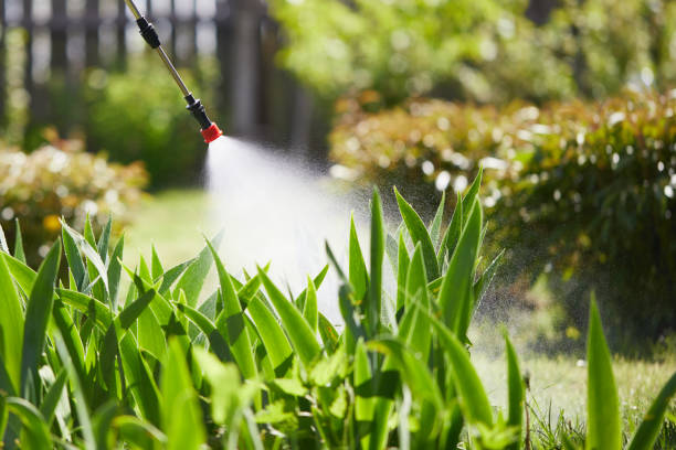 24/7 Emergency Termite Control experts in Covington, WA